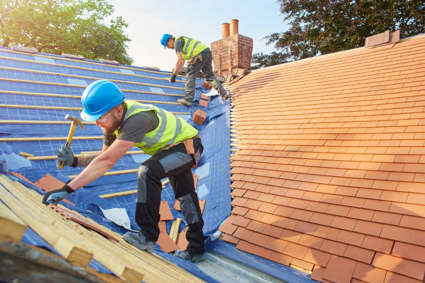 Best Roof Insulation Installation  in Baltic, SD
